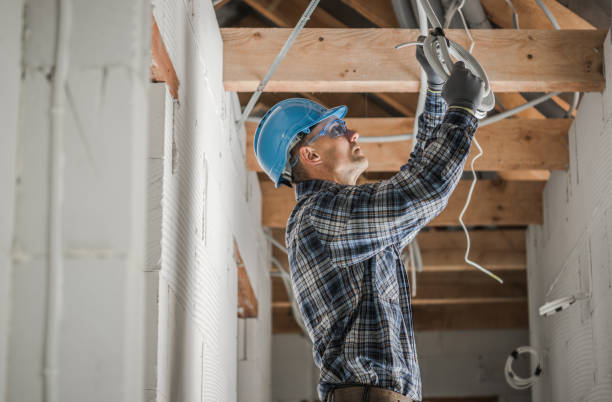 Best Local Electrician Companies  in Alamo, GA