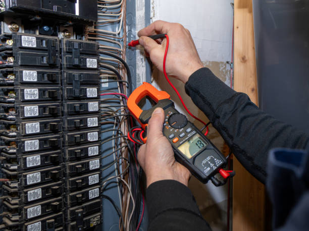 Best Home Electrical Repair  in Alamo, GA